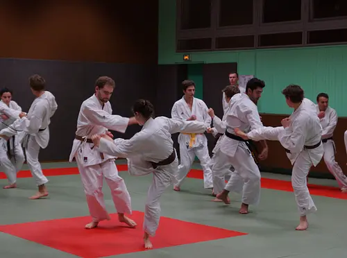 Karate